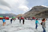 How To Freeze Your Buns (See Left Side Of Photo) On Athabasca Glacier