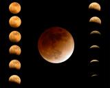 Lunar Eclipse Mosaic