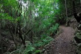 Kahakapao Trails