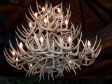  LIGHT FOR DINING