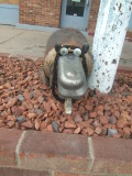 Hi  I am Buggie Terry