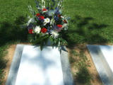    FLOWERS FOR VETERANS DAY 