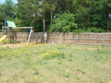  MARK MOWING DANDELIONS   