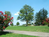    Grace Moravian Chuch Cemetery 