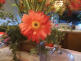 DR flowers