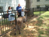 DSCF0777.JPG
