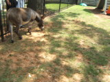 DSCF0778.JPG