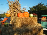 DSCF0870.JPG