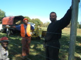 WE LET YOUR TREE DOWN GENTLY