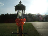 New yard light