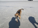 ZOE CHECKING THINGS OUT 