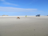 VASTNESS