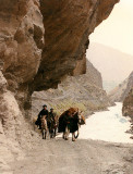 On the road north of Chitral (page 161)