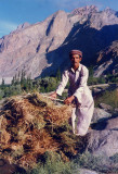 Buying grass in Gupis (page 257)