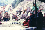 Koochies in Kaghan