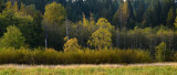 North Creek Autumn-0075-1.jpg