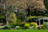 Bellevue Botanical-7263-16.jpg