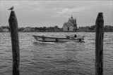 _DSC9536bw_small.jpg