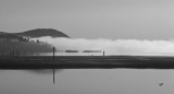 Morning Fog....by willvan