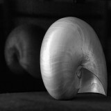 Shell<br>by Franky2005