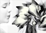 1st Place<br>Pinwheel Turning<br>by MFC (camera shy)