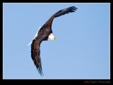 IMG_0864p.jpg