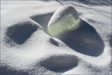 Ice Blob on Snow<br>by mlynn