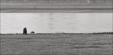 Walk at kilometer 741<br>by Franky2005