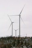 When The Wind Blows...