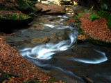 Swirly curvy stream<br>by Steve Liebenauer