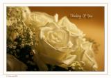 <b>6th Place</b><br>Thinking Of You