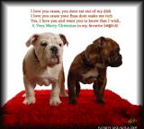 A Poem from Fatboy to Nola<br>by Shannon Bayless