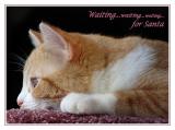 Hope youve been good!<br>by Bev Brink