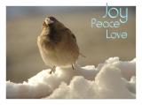 JoyPeaceLove by Alan Arthur Katz