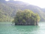 Green trees & water too by Tabrizi