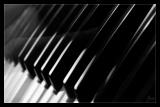 <b>5th Place</b><br>Slow Blues*<br>by Temis (Paseante)