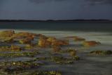 tidal-rocks-moonlight<br>by Ron Co