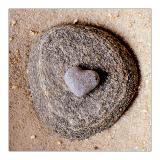Lovers Rock<br>by Franky2005