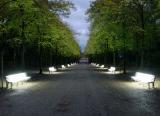 Light Bench<br>(Header only -<br>please do not vote)
