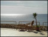 Red Sea view<br>by Yuri Pautov