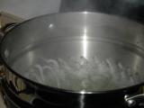 57586066.gumpherboiling.jpg