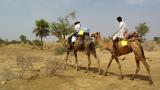 Noon in the desert<br>by Wojtas