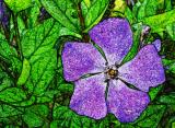 <b>10th Place</b><br>Purple Flower