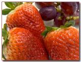 60259776.fruit5299.jpg