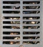 undergroundcrop.jpg