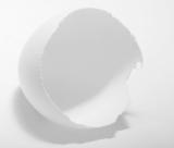 <b>4th Place </b><br>Shell<br>by Fred