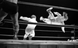 <b>9th Place (tie) </b><br>small-time wrestling <br> by shemp