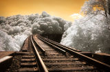 <b>4th Place </b><br>The Past Revisited (IR)