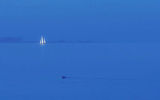 Sony duck on a morning jogging<br>by Moti