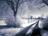 Cross & Lane<br>by oVan